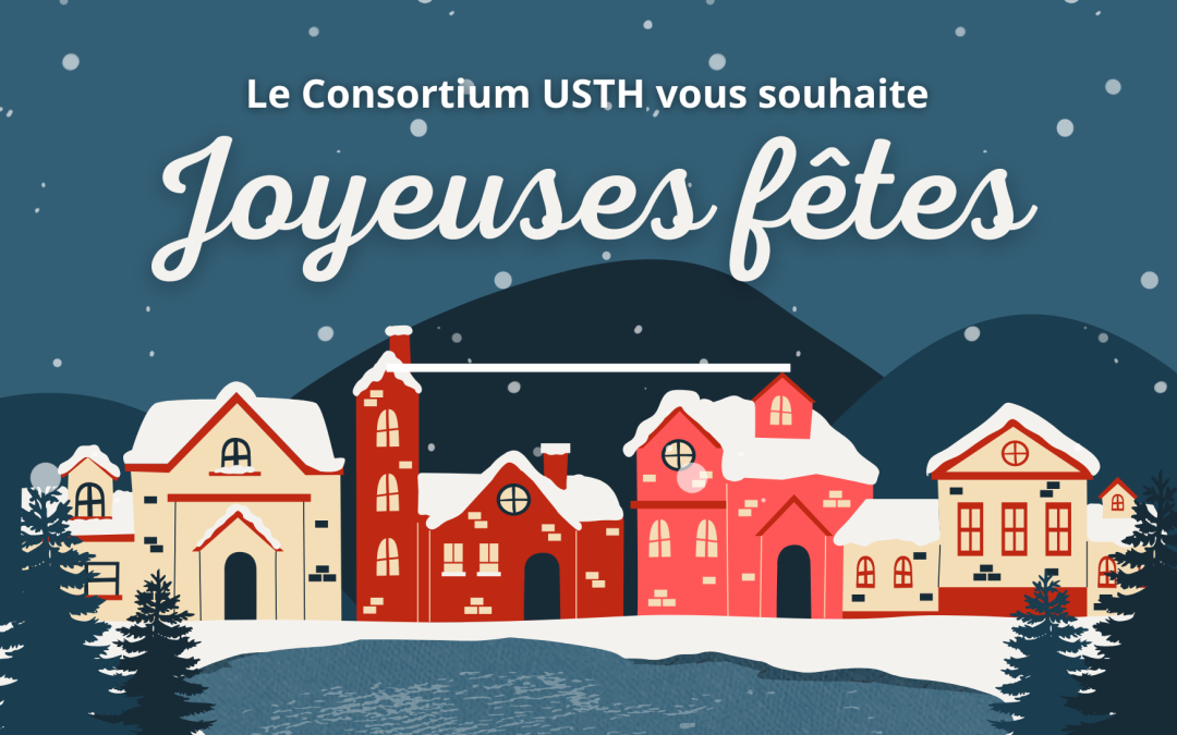 Le Consortium USTH vous souhaite de très belles fêtes de fin d’année !